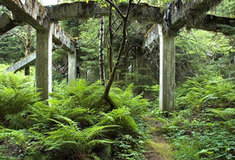 Hornoblatenské lesy pozměnila dávná historie