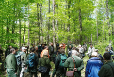 Jarní seminář PRO SILVA BOHEMICA