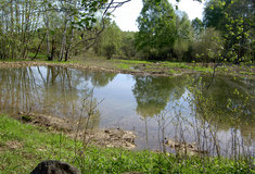 Lesy ČR provedly revitalizaci přítoku Jindřichovického potoka na Liberecku