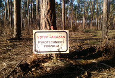 V Bořím lese na Břeclavsku začal pyrotechnický průzkum