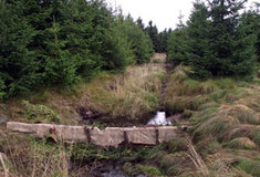 Obnovujeme rašeliniště v Krušných horách