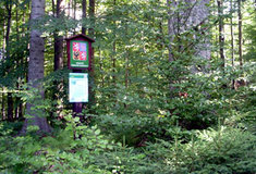 Krásy Národní přírodní rezervace Razula