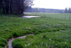 Revitalizace Bačetínského potoka