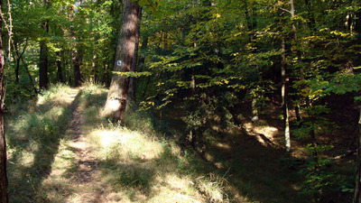 Rékoví, hrad Vildenberg