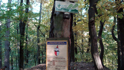 Rékoví, hrad Vildenberg