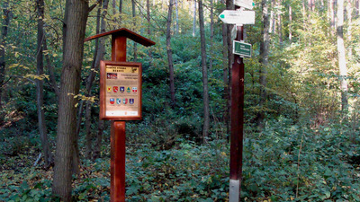 Rékoví, hrad Vildenberg