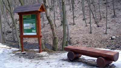 Rékoví, hrad Vildenberg