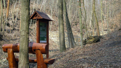 Rékoví, hrad Vildenberg