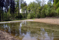 Přírodu Chřibů zdobí díky Lesům ČR soustavy dvou zcela nových a jedné obnovené vodní nádrže