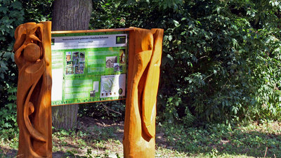 Lesní putování s Kamilem Rohanem