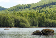 Pojďte s námi  do Jizerskohorských bučin