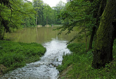 Voda, tůně a rybníky