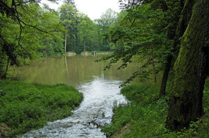 Voda, tůně a rybníky