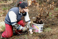 Jarní zalesňování začalo také na Lesní správě Náměšť nad Oslavou