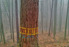 Semenářství na LS Luhačovice