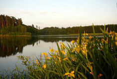 Historie hospodaření na revíru Senožaty