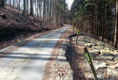 Sesuvy v oblasti Bílých Karpat a jejich dopad na stav cestní sítě