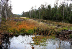 Setkání českých a německých lesníků z příhraničních oblastí Krušných hor