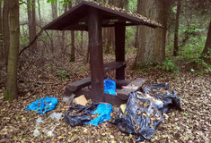 Lesy ČR vydaly v roce 2015 za odklízení nepovolených skládek bezmála 3,3 miliony korun