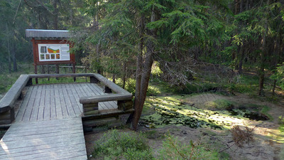 PŘÍRODNÍ REZERVACE SMRAĎOCH