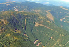 Přírodní rezervace Sněžná kotlina