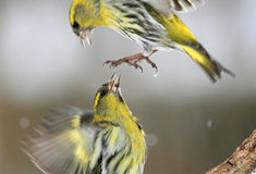 Zimní kolo fotosoutěže