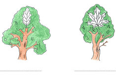 Jehlička s&nbsp;Lupínkem jsou tu po prázdninách se soutěží