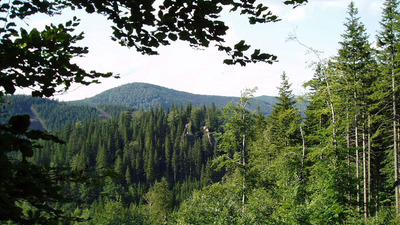 SRUB NÝZNEROV A STŘÍBRNÉ ÚDOLÍ