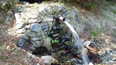 SRUB NÝZNEROV A STŘÍBRNÉ ÚDOLÍ