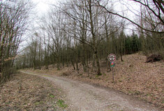 U Brněnské přehrady chtějí lesníci vyhlásit lesnický park pro veřejnost