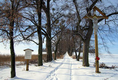 Štemplovská hůrka