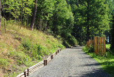 Horšovský Týn má díky Lesům ČR novou Naučnou stezku Královská rokle