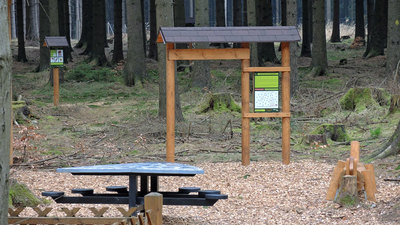 Stezka mladého lesníka