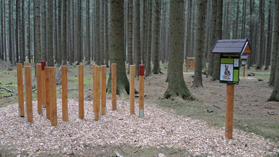 Stezka mladého lesníka