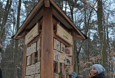 Tip na jarní výlet: Lesy ČR otevírají naučnou stezku v Rosicích u Brna