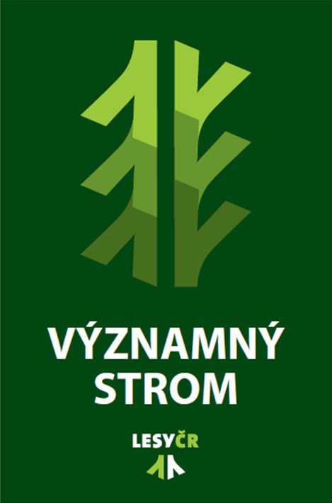 významný strom významný strom