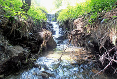 Lesy ČR opravily poškozené hrazení na přítoku Struhařského potoka