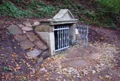 Studánky v lesích