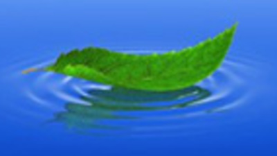 STUDÁNKA V RYBNÍČKÁCH