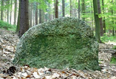 Svědkové kalamit v okolí Světlé nad Sázavou