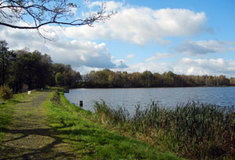 Světlík aneb kolem rybníka s hnízdišti a rašeliništěm až k větrnému mlýnu