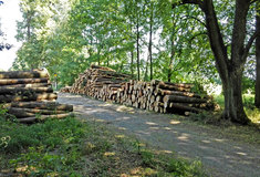 Lesnický tendr 2016+ skončil, všechny smlouvy jsou podepsány