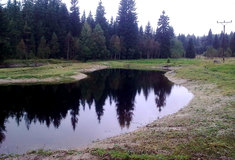 Lesy ČR navrátily jizerskohorské Tiché říčce její původní ráz