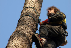 Odvážní trhači šišek