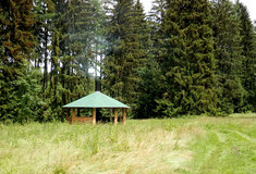 Louka U tří smrků