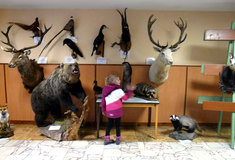 Chovatelská výstava trofejí zvěře ulovené v honitbách na Šumpersku za myslivecký rok 2014