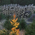 trvala-uddrzitelnost-dostal