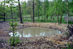 Tůně v mokřadech