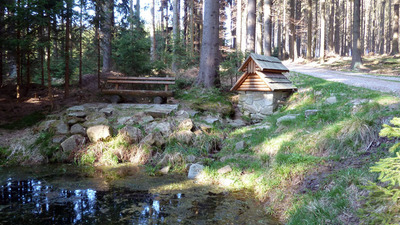 VÝSTUP NA JAVOŘICI