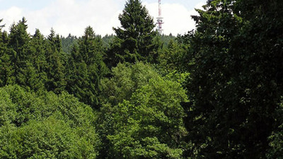 VÝSTUP NA JAVOŘICI